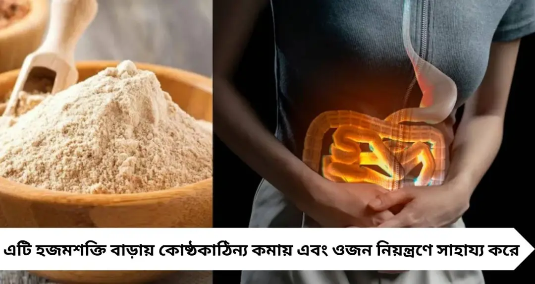 সপ্তাহে মাত্র ২ দিন খান এই আটার রুটি! দূর হবে কোষ্ঠকাঠিন্য, পরিষ্কার থাকবে অন্ত্র
