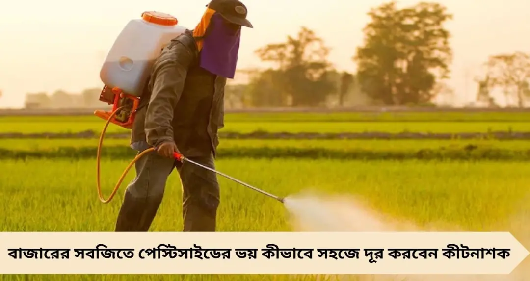 বাজারের সবজিতে ‘পেস্টিসাইড’-এর ভয়! ক্যানসারের ঝুঁকি বাড়াচ্ছে কীটনাশক, ঘরোয়া উপায়ে কীভাবে পরিষ্কার করবেন জানুন
