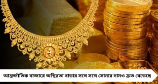 Gold Loan Warning: বেশি টাকা পাওয়ার লোভে বড় গোল্ড লোন নেবেন না! ভুল করলেই নিলামে উঠতে পারে আপনার গয়না

