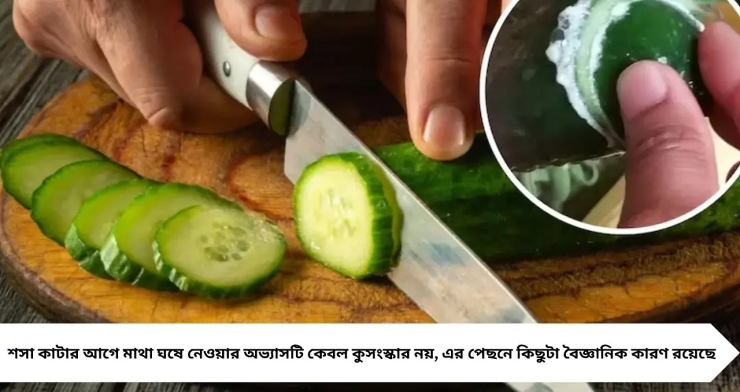 শসা কাটার আগে মাথা ঘষে নেন কেন? সাদা ফেনার পেছনের বৈজ্ঞানিক কারণ জানলে অবাক হবেন