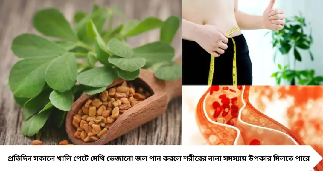 ১ চামচ মেথিদানার শক্তি! ওজন কমানো থেকে কোষ্ঠকাঠিন্য দূর—নিয়ন্ত্রণে কোলেস্টেরল ও ব্লাড সুগার
