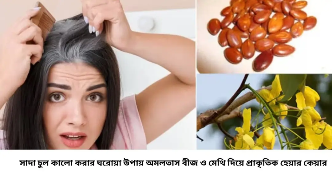কলপ-কালারের দরকার নেই! ফুলের শুকনো বীজের সঙ্গে রান্নাঘরের ২ মশলা মিশালেই সাদা চুল হবে কালো, কমবে হেয়ারফল
