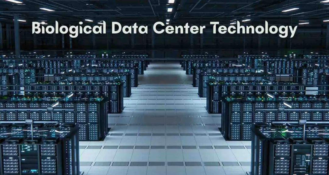 AI के बाद अगला कदम: ह्यूमन ब्रेन सेल्स से चलेंगे सुपर कंप्यूटिंग सिस्टम