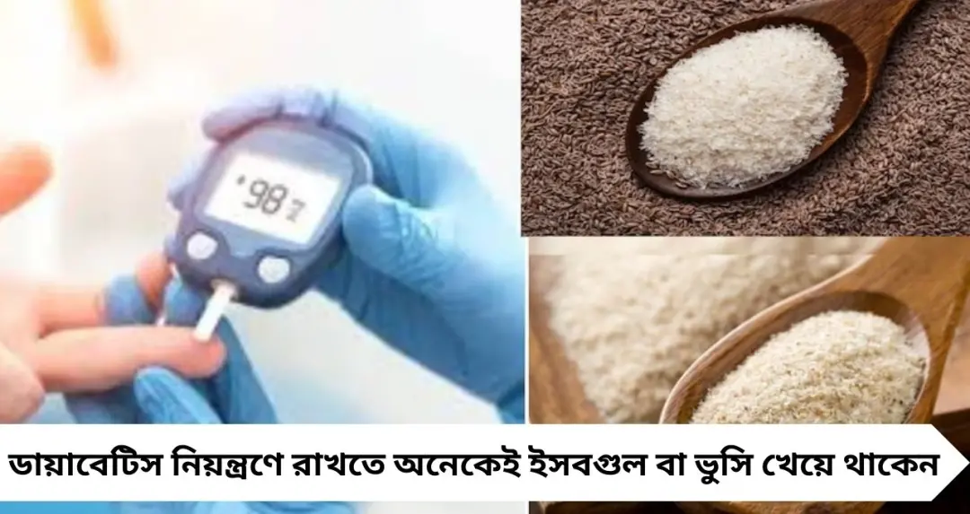 Isabgol in Blood Sugar: ব্লাড সুগার থাকলে কি প্রতিদিন ইসবগুল খাওয়া ঠিক? অতিরিক্ত খেলেই বাড়তে পারে সমস্যা
