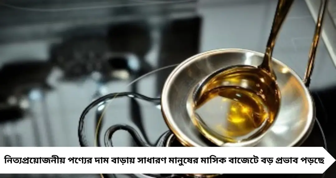 Price Hike: আটা থেকে ভোজ্যতেল—মূল্যবৃদ্ধির আগুনে পুড়ছে বাজার, চাপে মধ্যবিত্তের সংসার
