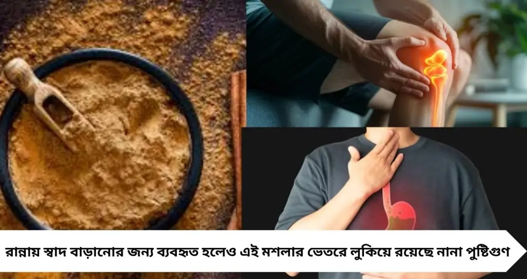 এক চিমটে দারুচিনির গুঁড়োতেই স্বাস্থ্যরক্ষা! বাতের ব্যথা থেকে বদহজম—ডায়াবেটিস, কোলেস্টেরলেও মিলতে পারে উপকার