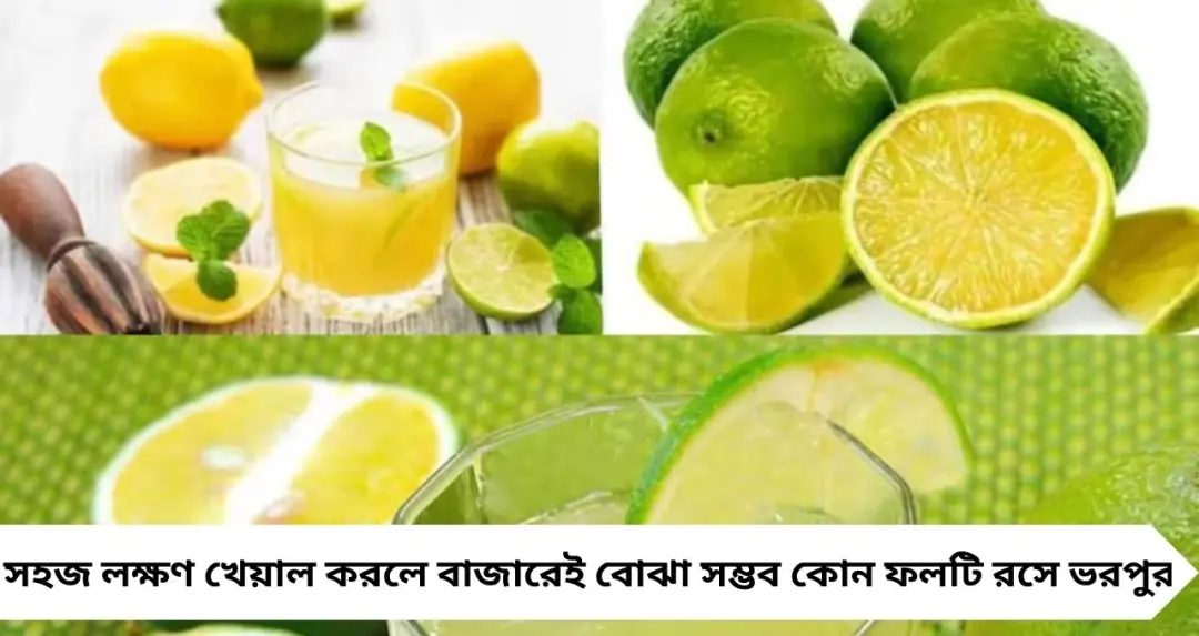 মুসাম্বি কিনে ঠকবেন না! রসে টইটম্বুর ফল চেনার সহজ ৬ ‘চিহ্ন’ জেনে নিন
