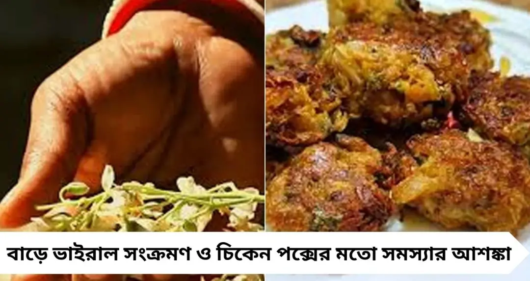 বসন্তে পক্সের আশঙ্কা? ইমিউনিটি বাড়াতে ডায়েটে রাখুন সজনে ফুলের মুচমুচে বড়া
