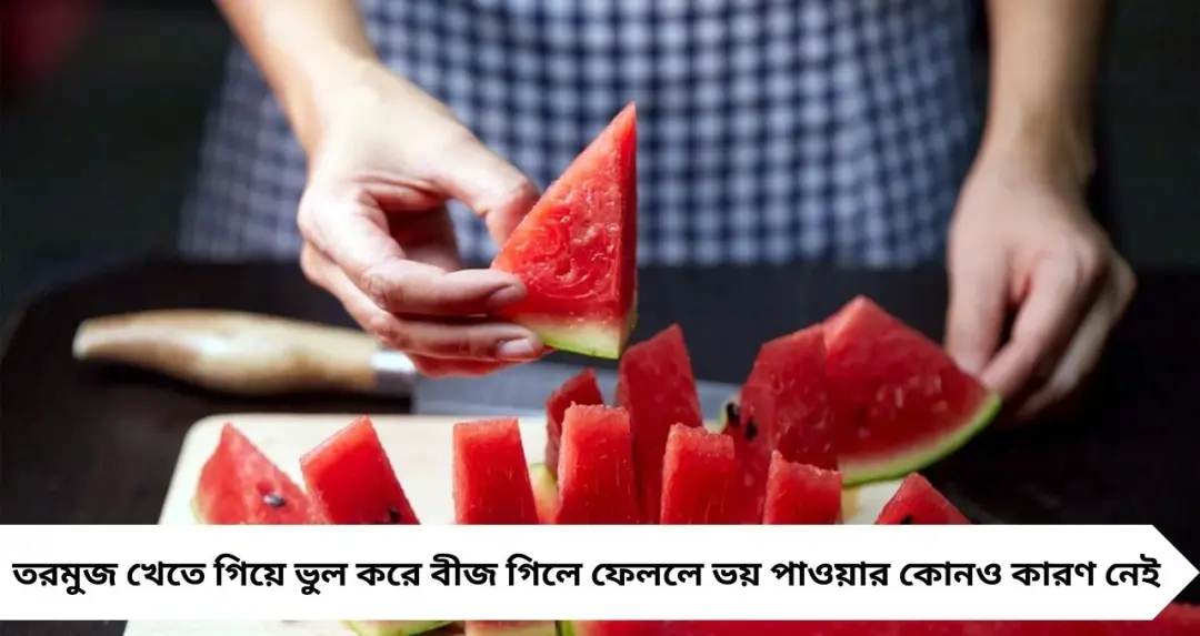 তরমুজের বীজ গিলে ফেলেছেন? ভয় নয়, শরীর পাবে একগুচ্ছ পুষ্টির উপকার
