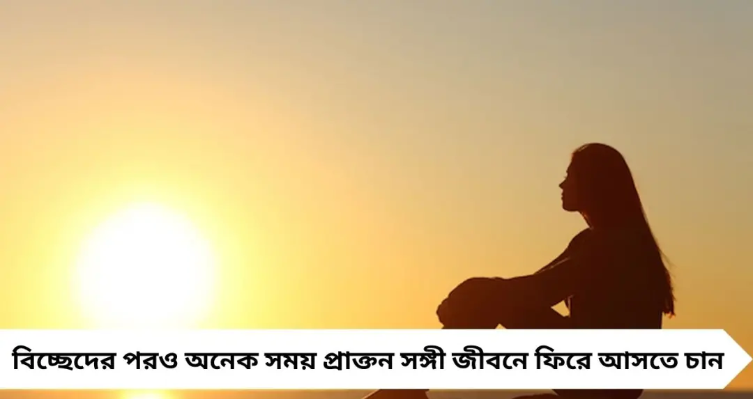 প্রাক্তন ফিরতে চাইছে জীবনে? আবেগে নয়, এই ৬ লক্ষণ দেখেই নিন—নাহলে ফের ভাঙতে পারে মন
