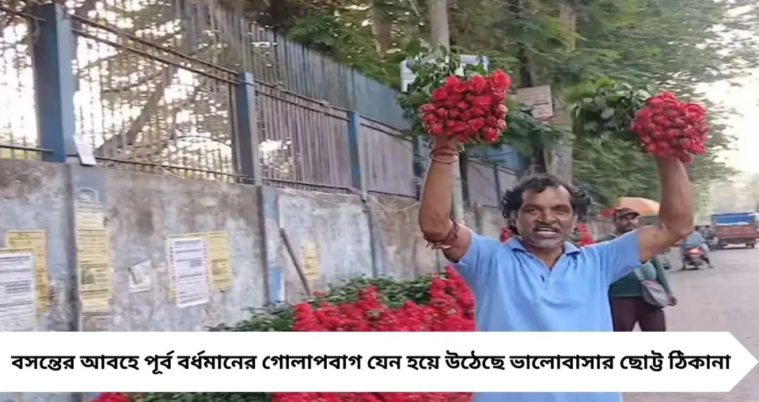 ৫০ টাকায় ৫০টি গোলাপ! বসন্তে বর্ধমানের গোলাপবাগে প্রেমের ‘মহা সেল’, ভিড় ক্রেতাদের
