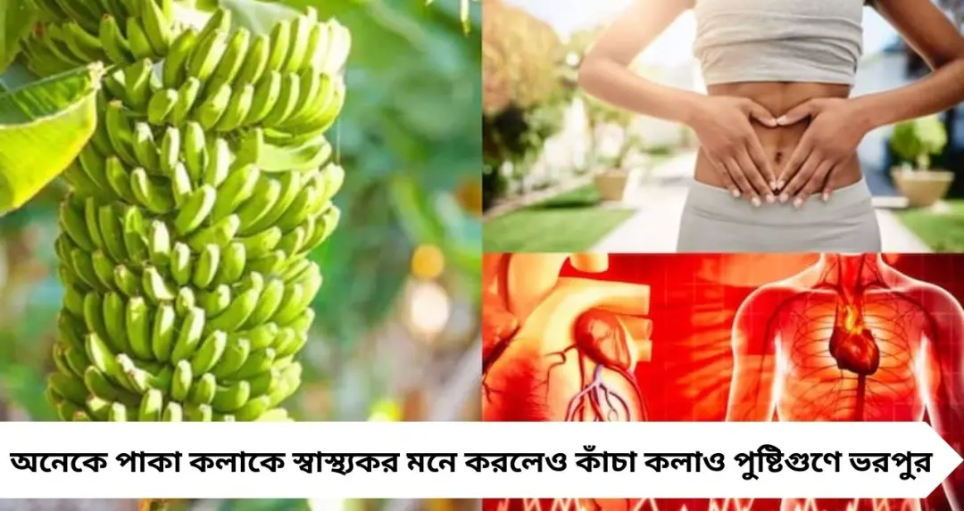 Raw Banana Benefits: কাঁচকলার অসাধারণ শক্তি! ভাতের সঙ্গে খেলেই অন্ত্র পরিষ্কার, নিয়ন্ত্রণে থাকবে সুগার ও হাইপ্রেশার
