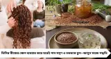 পার্লার ছাড়াই স্ট্রেট লুক! Flaxseed-এর জেলেই মসৃণ ও চকচকে হবে কোঁকড়া চুল