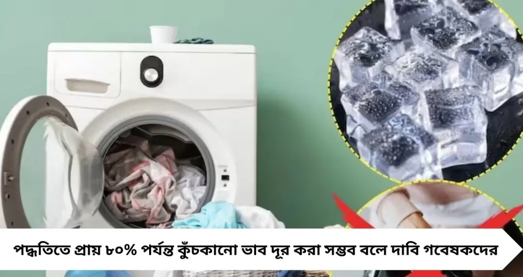 Washing Machine Ice Hack: ইস্ত্রি ছাড়াই ঝকঝকে জামা! এক টুকরো বরফেই দূর হবে কুঁচকানো ভাব

