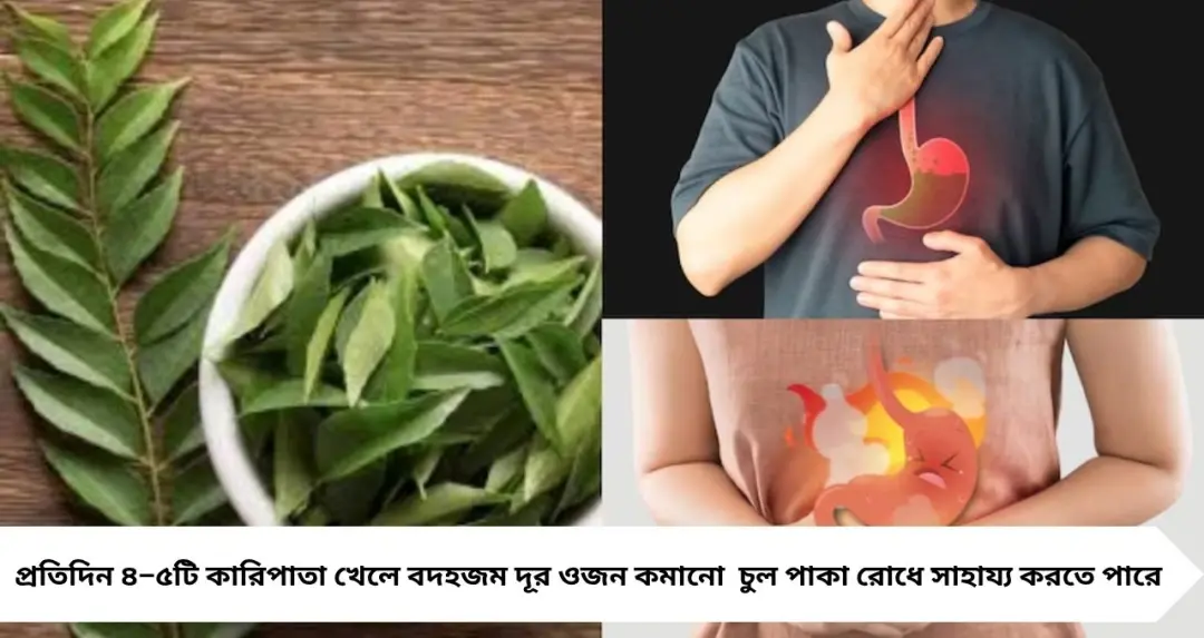 কারিপাতা খেলেই মিলবে একাধিক উপকার! বদহজম থেকে সাদা চুল—প্রতিদিন ৫টি পাতাই বদলে দেবে শরীরের হাল

