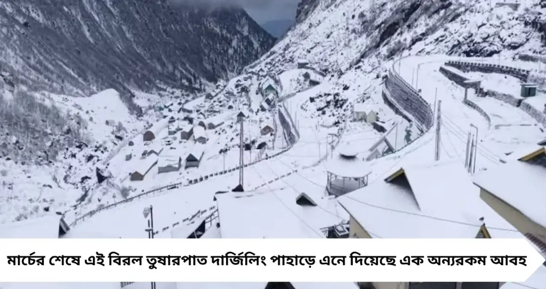 Darjeeling Snowfall: মার্চের শেষে তুষারঝড়! বরফের চাদরে ঢাকল সান্দাকফু-ফালুট, বসন্তেই শীতের আমেজ

