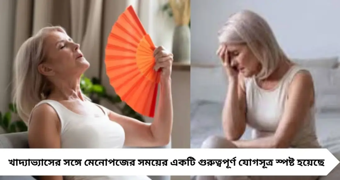 Early Menopause Alert: এই ২ পরিচিত খাবারেই বাড়ছে ঝুঁকি! অকালেই বন্ধ হতে পারে ঋতুস্রাব, সতর্ক করল গবেষণা
