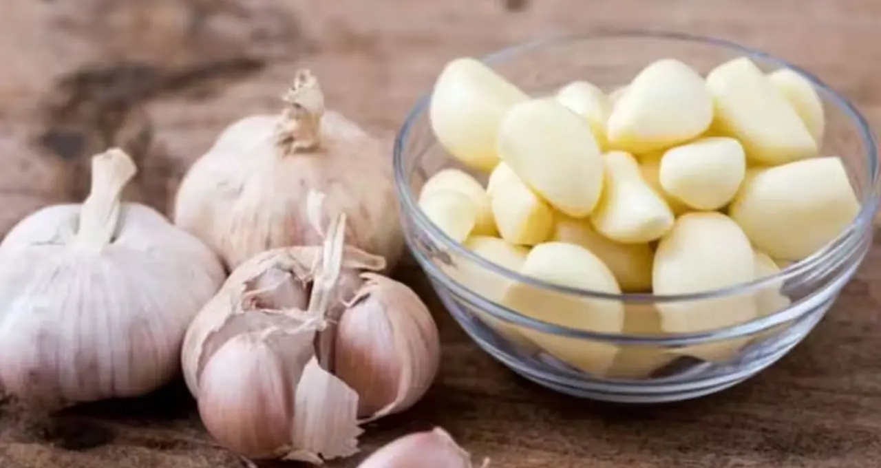 Tooth Cavity Remedies: দাঁতে পোকা ও গর্তে কাঁদছেন? ডিমের খোলাতেই মিলতে পারে স্বস্তি, সঙ্গে আরও ৫ ঘরোয়া টোটকা!