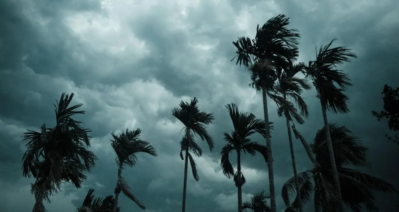 Kalbaishakhi Alert: আকাশে কালো মেঘ, বিকেল গড়ালেই ঝড়ের আশঙ্কা—উত্তরবঙ্গের একাধিক জেলায় সতর্কবার্তা

