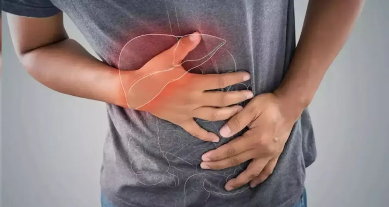 Liver Problems: ব্লাড টেস্ট স্বাভাবিক মানেই নিরাপদ নন! নীরবে বাড়ছে লিভারের ক্ষতি, কোন লক্ষণ দেখলেই সতর্ক হবেন?
