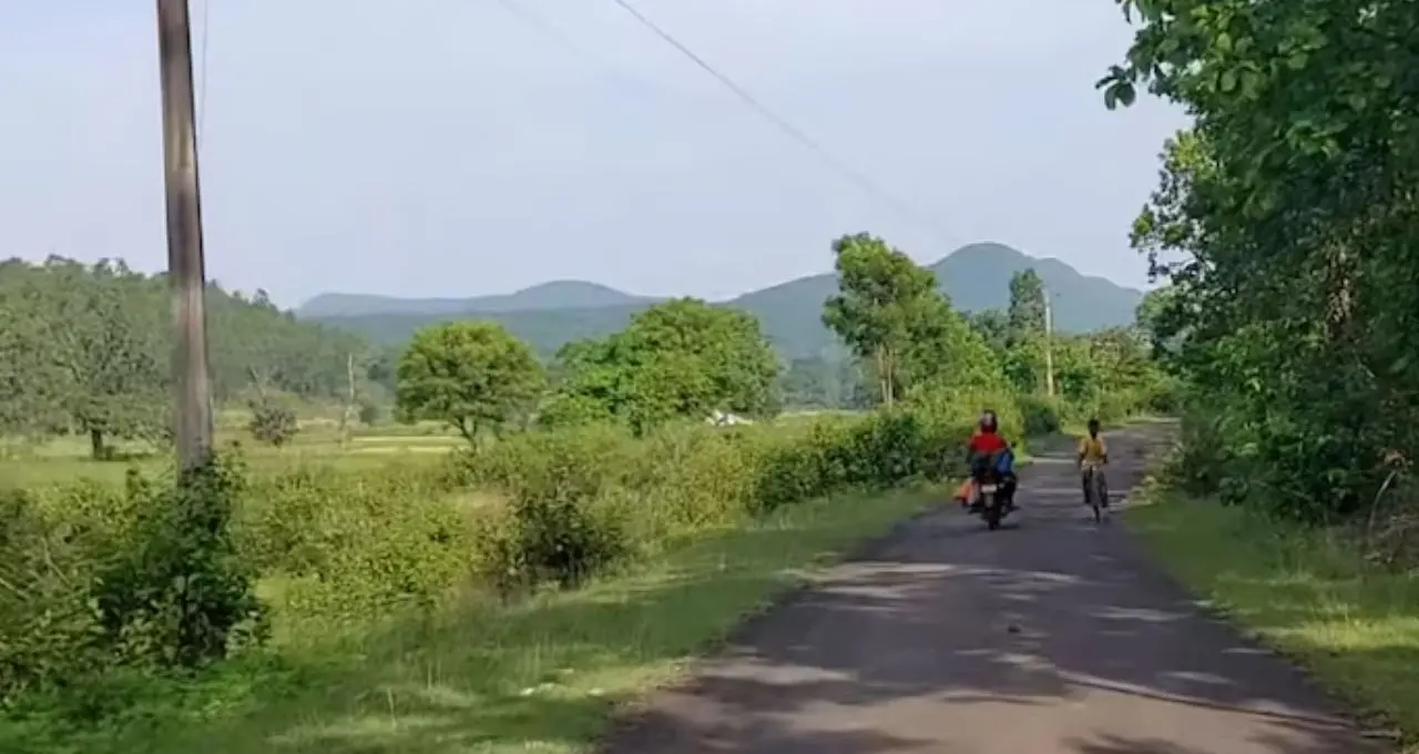 Jhargram Tourism: কলকাতার কাছেই ‘ময়ূরের গ্রাম’ খুদিমহুল, উঠোনেই দেখা মিলবে পেখম মেলা জাতীয় পাখির
