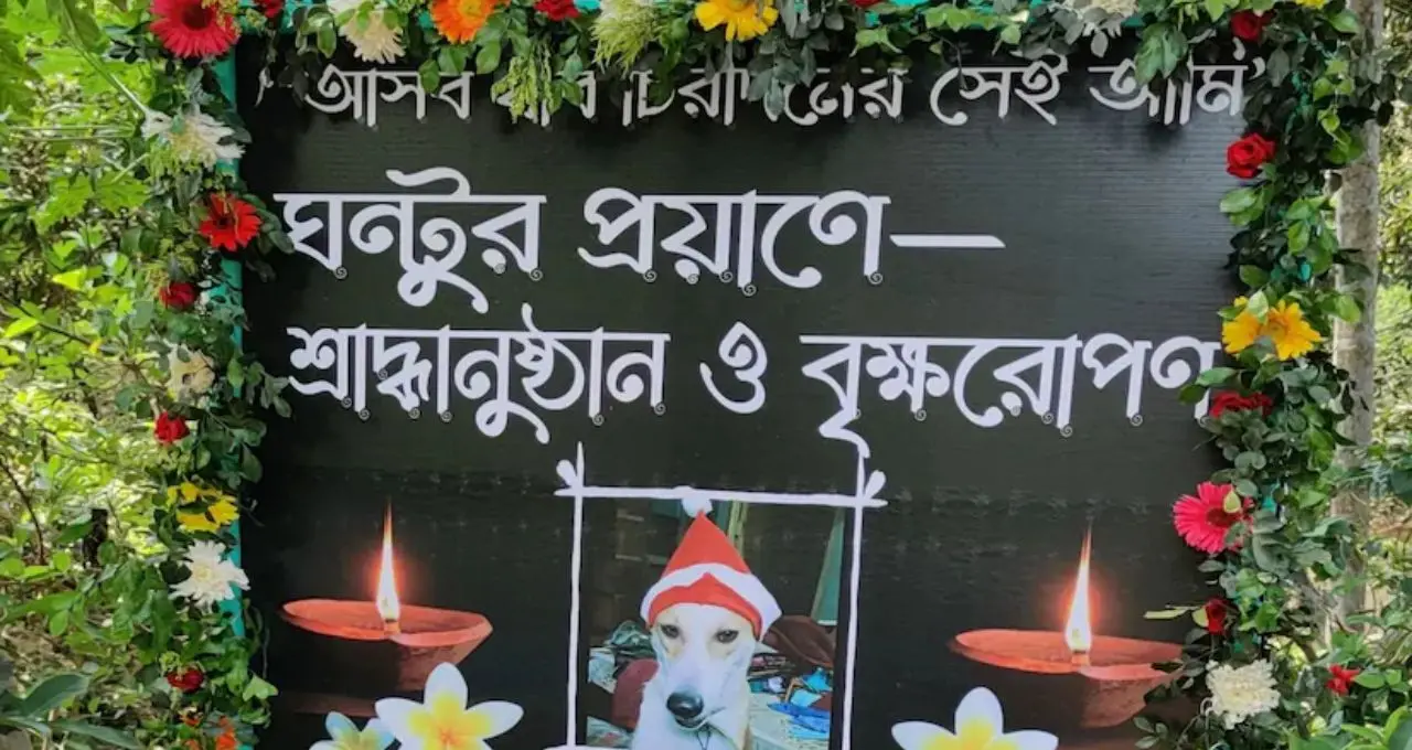 ঘন্টুকে হারিয়ে অশ্রুসিক্ত কৃষ্ণেন্দু! পোষ্যের শ্রাদ্ধে উপনিষদ পাঠ, বৃক্ষরোপণ ও সারমেয় ভোজন পূর্ব মেদিনীপুরে
