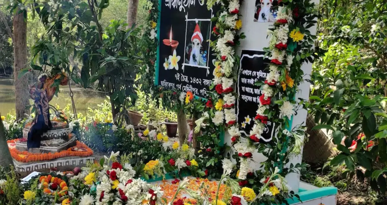 ঘন্টুকে হারিয়ে অশ্রুসিক্ত কৃষ্ণেন্দু! পোষ্যের শ্রাদ্ধে উপনিষদ পাঠ, বৃক্ষরোপণ ও সারমেয় ভোজন পূর্ব মেদিনীপুরে
