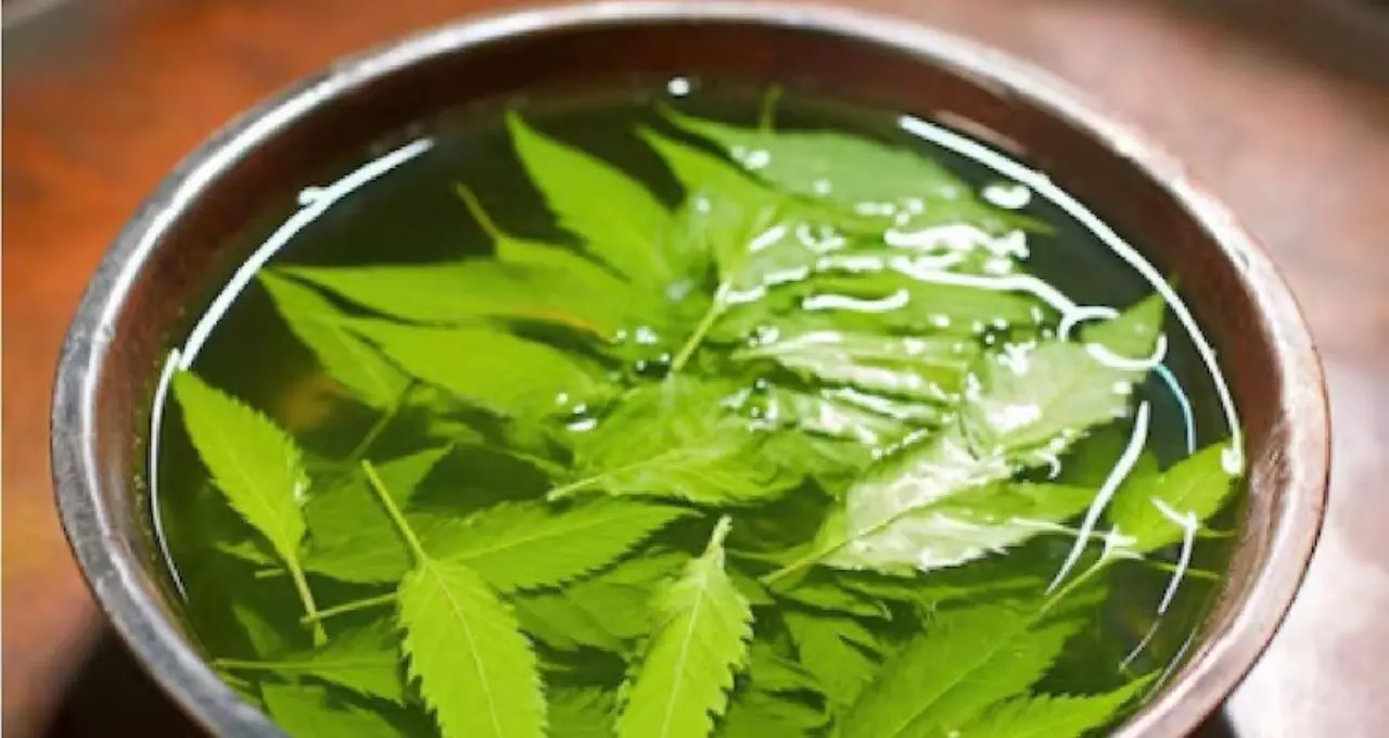 Pyorrhea Home Remedies: ব্রাশ করলেই মাড়ি থেকে রক্ত? ১ চিমটে হলুদেই মিলতে পারে আরাম, জানুন ঘরোয়া টোটকা
