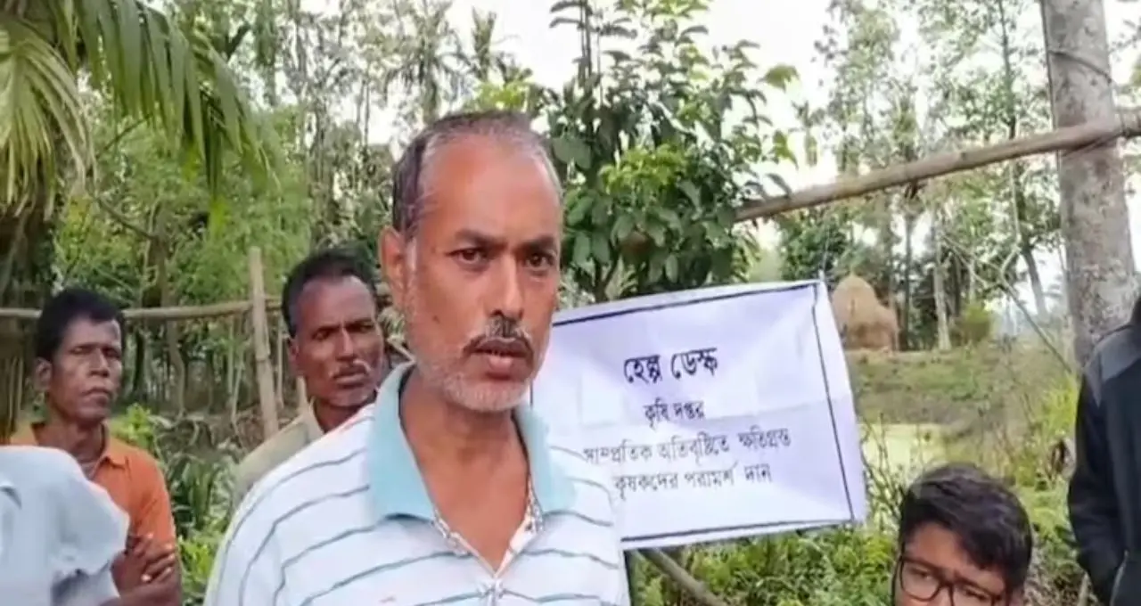 অতিবৃষ্টিতে আলুচাষে বড় ক্ষতি! ক্ষতিপূরণে সরকারের উদ্যোগ, জেলায় চালু ২৫টি হেল্প ডেস্ক

