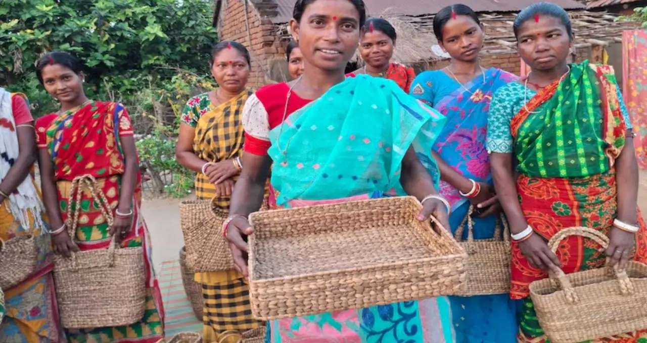 জলজ আগাছাই এখন সোনার খনি! কচুরিপানায় বাজিমাত, বাঁকুড়ার মহিলাদের হাতে স্বনির্ভরতার নতুন দিশা
