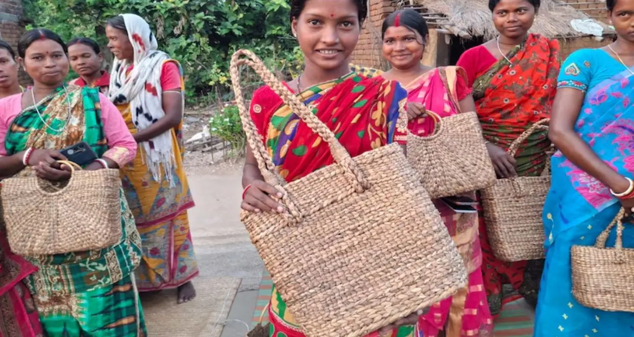 জলজ আগাছাই এখন সোনার খনি! কচুরিপানায় বাজিমাত, বাঁকুড়ার মহিলাদের হাতে স্বনির্ভরতার নতুন দিশা
