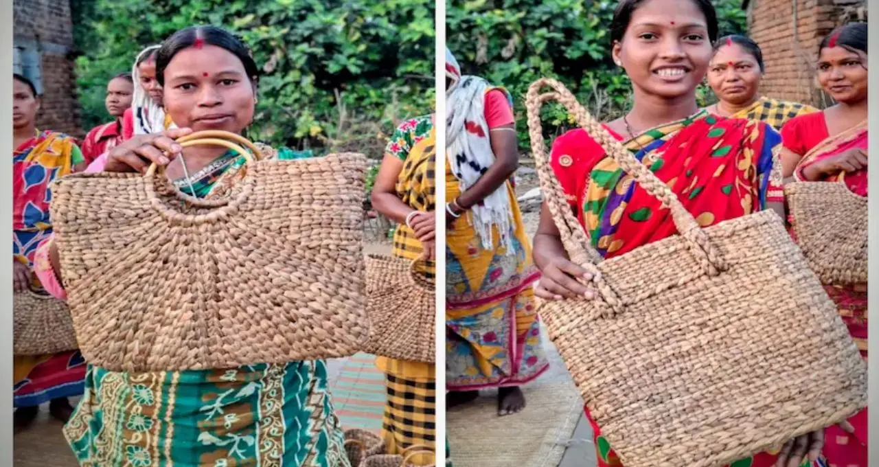জলজ আগাছাই এখন সোনার খনি! কচুরিপানায় বাজিমাত, বাঁকুড়ার মহিলাদের হাতে স্বনির্ভরতার নতুন দিশা
