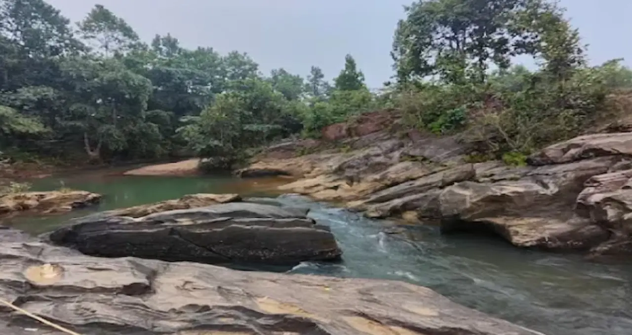 দক্ষিণবঙ্গে ‘ডুয়ার্সের ছোঁয়া’! জঙ্গল-পাহাড়-ঝরনায় ভরপুর কাঁকড়াঝোড়, গরমে আদর্শ অফবিট ডেস্টিনেশন
