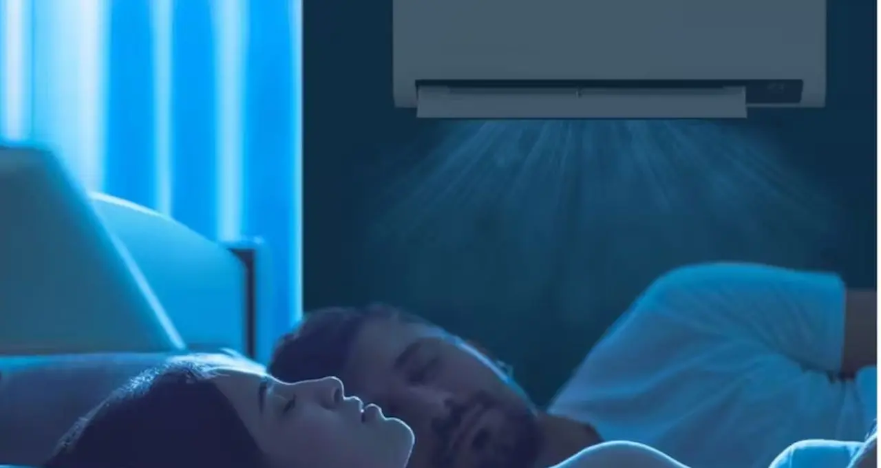 এসি-র ঠান্ডা হাওয়া কি ফুসফুসের শত্রু? অজান্তেই বাড়ছে শ্বাসকষ্ট, সতর্ক করলেন চিকিৎসকেরা
