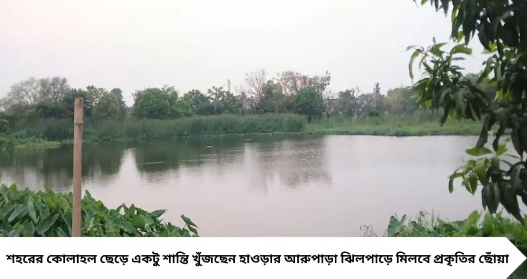 শহরের বুকেই লুকিয়ে ‘মিনি প্রকৃতি’! বাজেটেই ঘুরে আসুন আরুপাড়া ঝিলপাড়, বাড়ছে ভিড়
