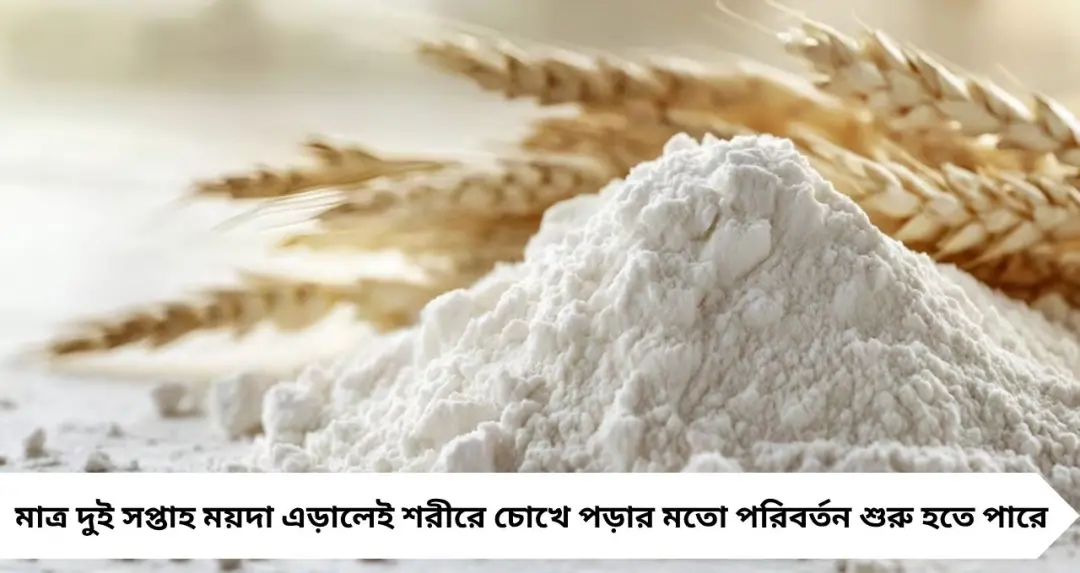 ২ সপ্তাহ ময়দা বন্ধ করলেই বদলে যাবে শরীর! পুষ্টিবিদের দাবি শুনে অবাক হবেন
