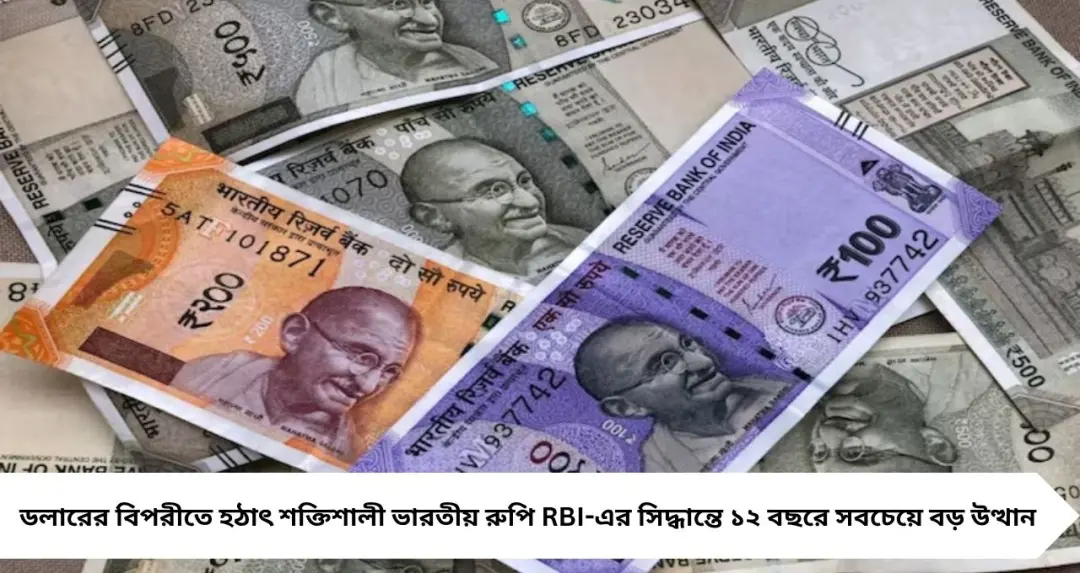 ডলারের সামনে ঘুরে দাঁড়াল টাকা! ১ ডলারের দাম শুনলেই চমকে উঠবেন—১২ বছরে নজিরবিহীন লাফ
