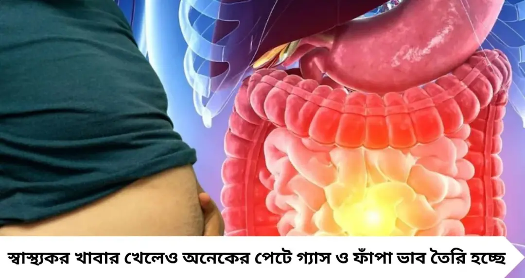 উপকারী খাবারেই পেট ফাঁপা! ৪ সবজি, ২ ফল ও ১ ডালেই গ্যাসের দাপট—খাওয়ার আগে জানুন সতর্কবার্তা