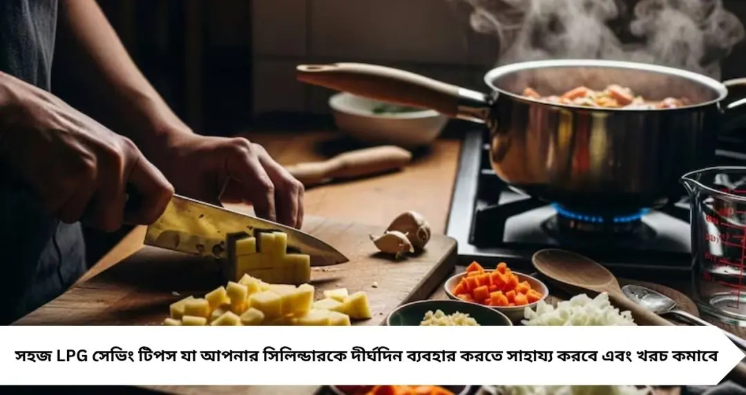 গ্যাস সিলিন্ডার মাস পেরিয়েও শেষ হবে না! রান্নাঘরে এই ৮ ছোট্ট অভ্যাসেই মিলবে বড় সাশ্রয়
