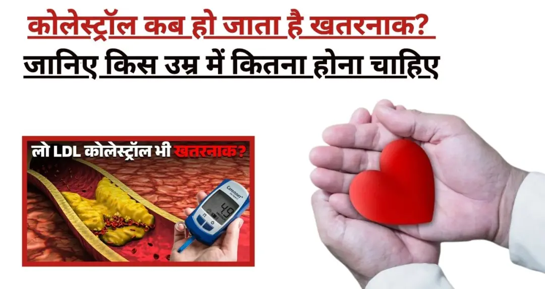 कोलेस्ट्रॉल पर 8 साल बाद नई गाइडलाइन: LDL 100 से नीचे रखें, 20 साल की उम्र से कराएं टेस्ट