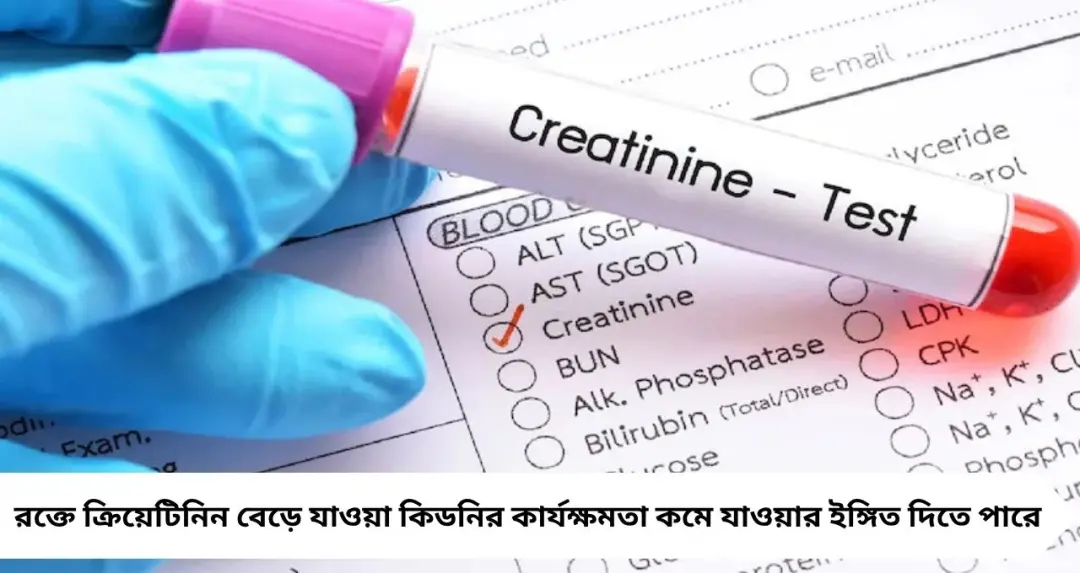 রক্তে ক্রিয়েটিনিন বাড়লেই কিডনির বিপদ! এই ৫ উপসর্গ দেখলেই সতর্ক হন
