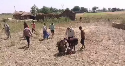 भागलपुर में जमीन विवाद: दो पक्षों में लाठी-डंडों से झड़प, महिला समेत चार घायल