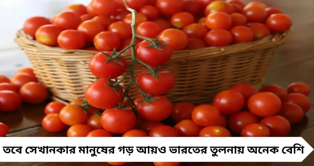 ভারতে ৩০-৭০ টাকা, আমেরিকায় ৯০০! টম্যাটোর দামে আকাশ-পাতাল ফারাক, চমকে দেবে তুলনা
