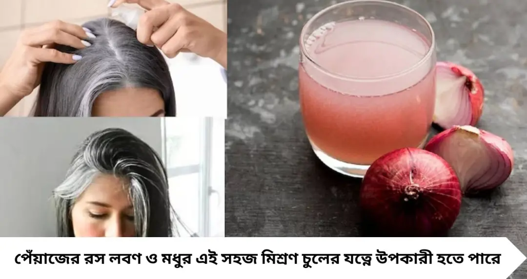 পেঁয়াজের রসে মেশান ২ জিনিস! এই উপায়ে ব্যবহারেই কমবে চুল পড়া, সাদা চুলও হবে উধাও?