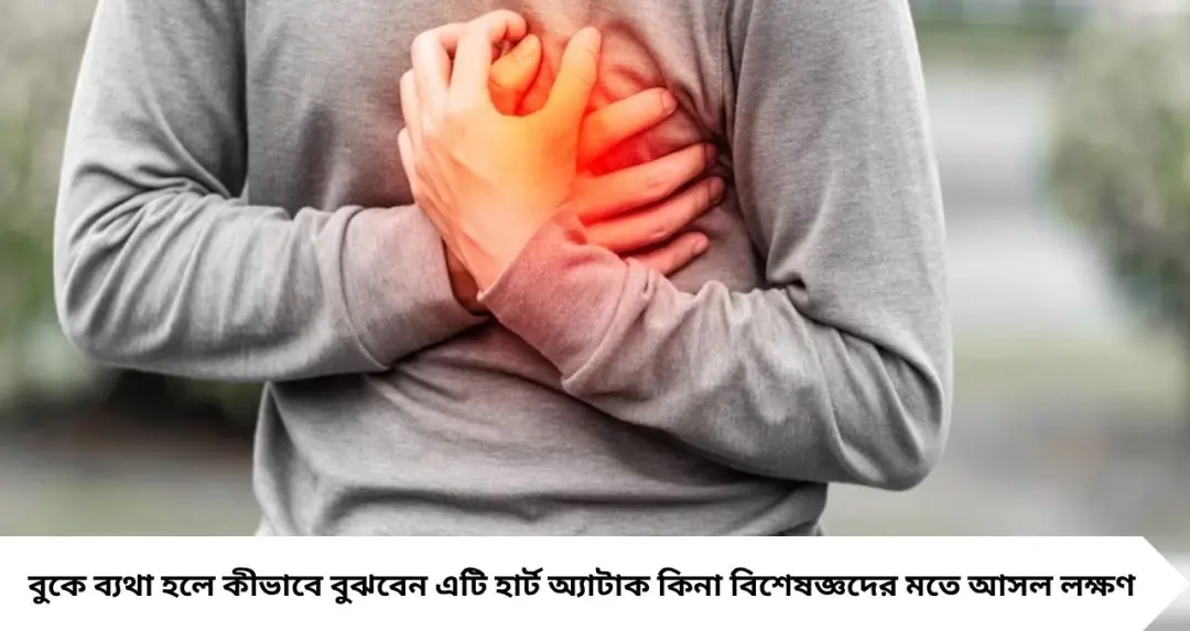 বুকে ব্যথা মানেই কি হার্ট অ্যাটাক? ভুল ধারণা ভেঙে দিল বিশেষজ্ঞরা, বিপদ এড়াতে জানুন আসল লক্ষণ
