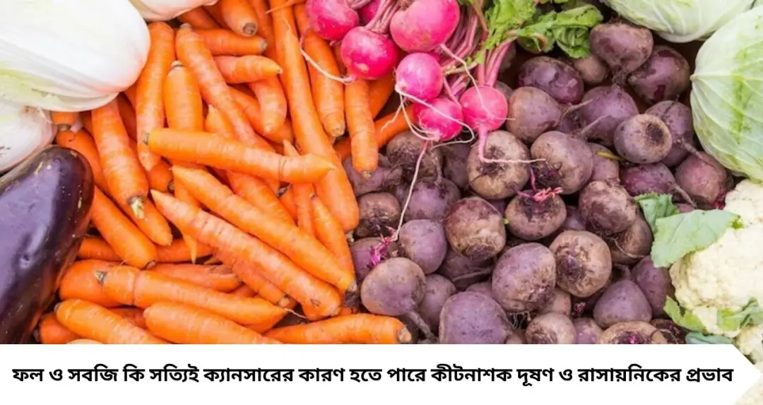 ফল-সবজি খেলেই কি বিপদ? লুকিয়ে থাকা বিষে বাড়ছে Cancer-এর ঝুঁকি! জানুন সত্যিটা
