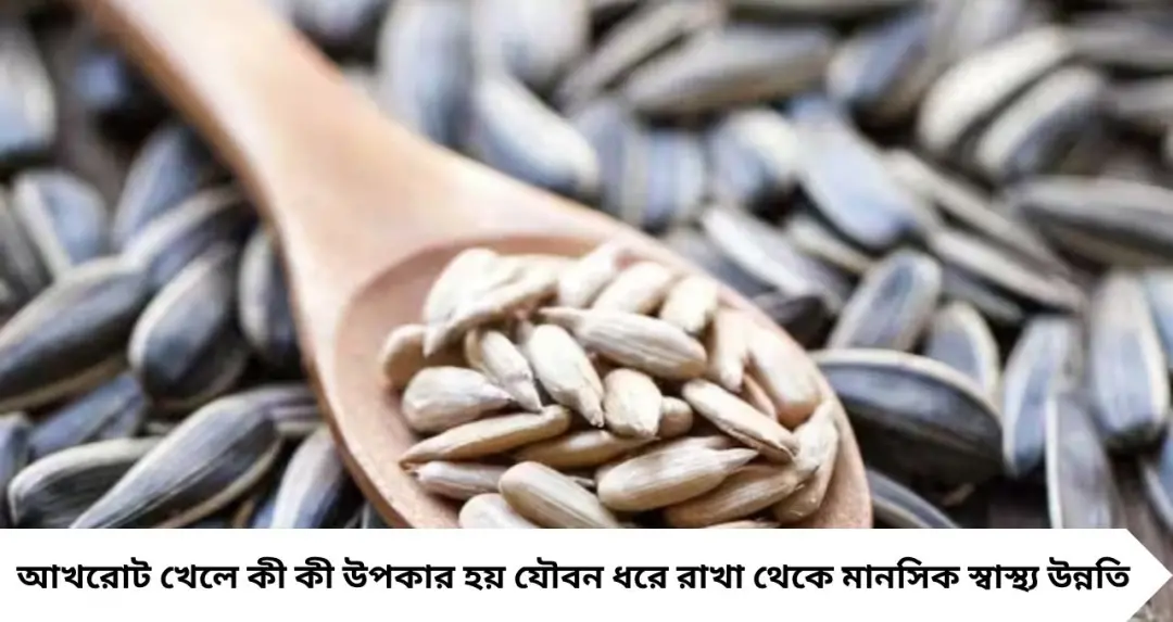 যৌবন ধরে রাখে, মন ভালো রাখে! ছোট্ট Walnut-এর গুণ জানলে অবাক হবেন
