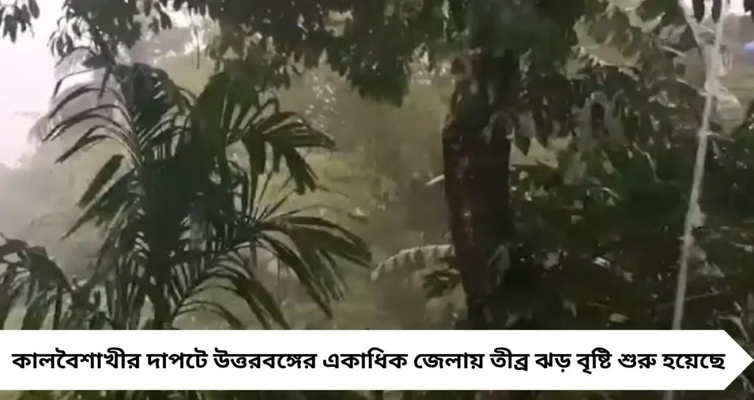 উত্তরবঙ্গে কালবৈশাখীর তাণ্ডব! ঝড়-বৃষ্টিতে বিপর্যস্ত জনজীবন, শিসামারায় ভাঙন আতঙ্কে রাত জাগা বাসিন্দারা
