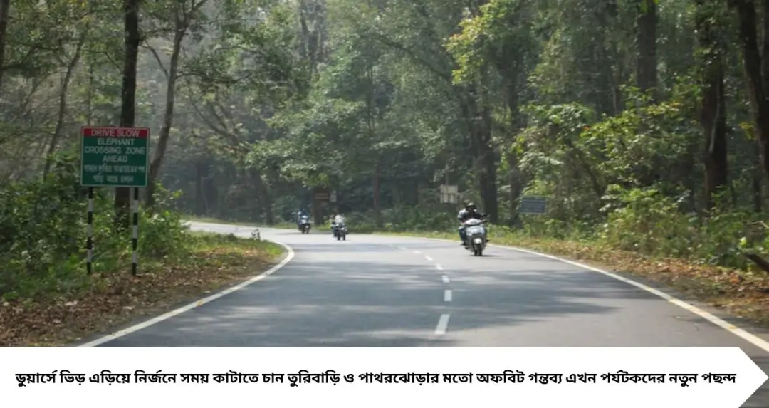 লাটাগুড়ি-জলদাপাড়া ছেড়ে নতুন ঠিকানা! বসন্তে ডুয়ার্সের অচেনা তুরিবাড়ি এখন পর্যটকদের পছন্দের তালিকায়
