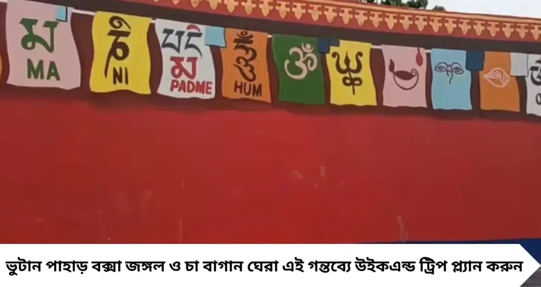 ডুয়ার্সে নতুন অফবিট ডেস্টিনেশন ‘বনছায়া’! ভুটান পাহাড়ের কোলে গরমে মিলবে স্বর্গীয় আরাম
